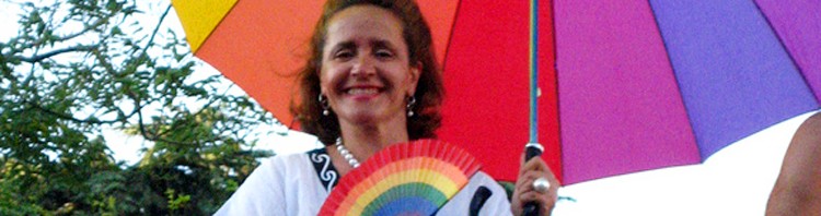 Austria examinará la discriminación contra el colectivo LGTBI desde 1945